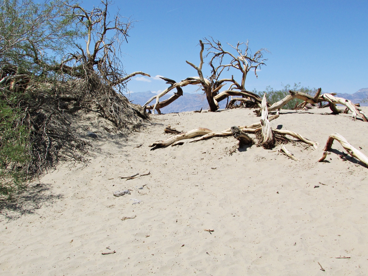 Westküste USA Rundreise - Death Valley Mesquite Sand Dunes - Fashionladyloves