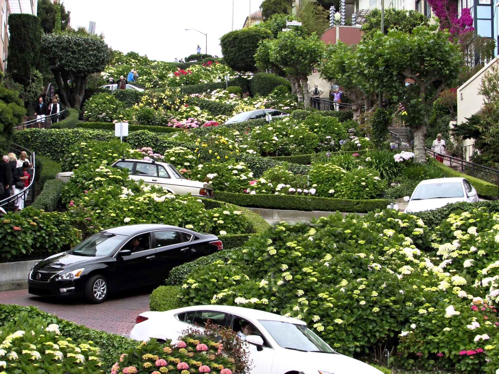 San Francisco - Lombard Street - USA Rundreise - Roadtrip - Reisebericht - Travel Diary - Fashionladyloves 