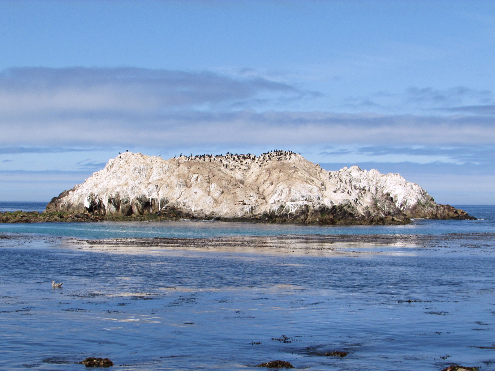 USA Rundreise - Amerika Westküste - 17-Mile Drive - Bird Rock - Fashionladyloves - Travelblog - Reise Blog