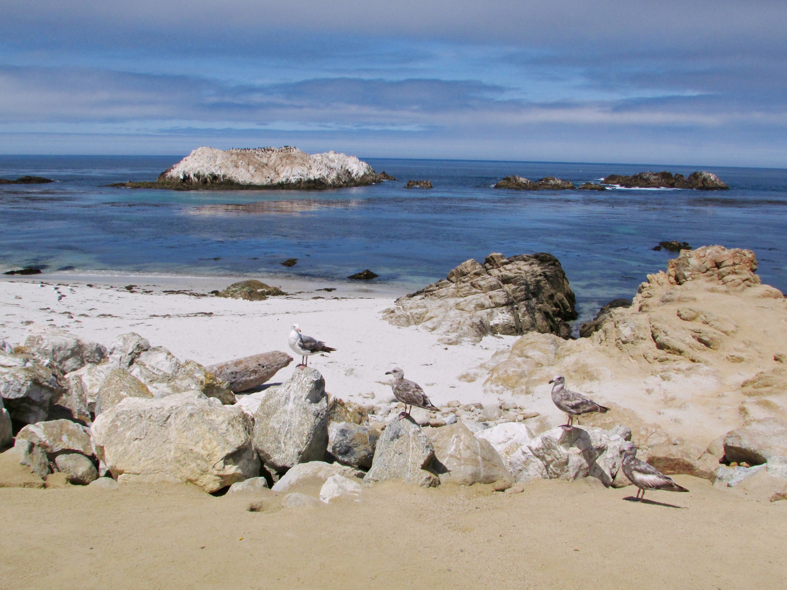 USA Rundreise - Amerika Westküste - 17-Mile Drive - Bird Rock - Fashionladyloves - Travelblog - Reise Blog