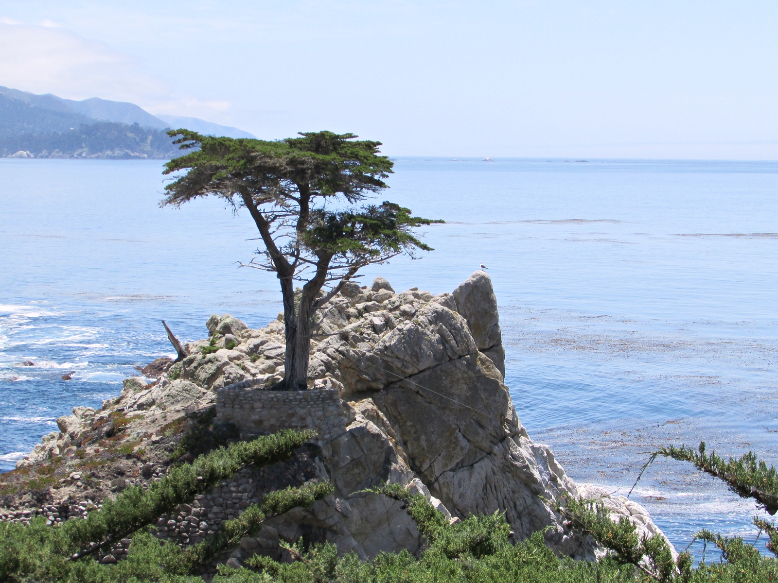 USA Rundreise - Amerika Westküste - Monterey - 17-Mile Drive - Lone Zypress - Fashionladyloves - Travelblog - Reise Blog