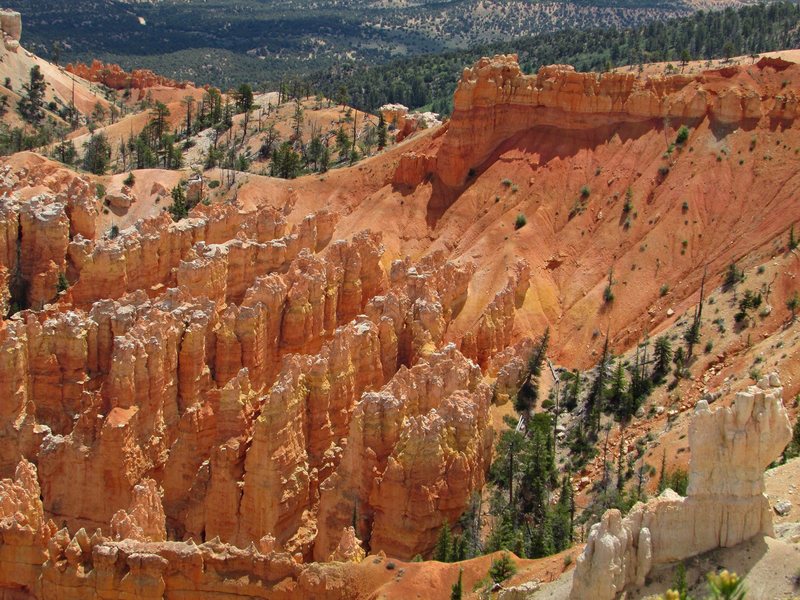 Bryce Canyon National Park - USA Westküsten Rundreise - Amerika Westküste - Utah - Roadtrip - Travel - Weltreise - Fashionladyloves by Tamara Wagner - Travel Blog - Lifestyle Blog aus Österreich 