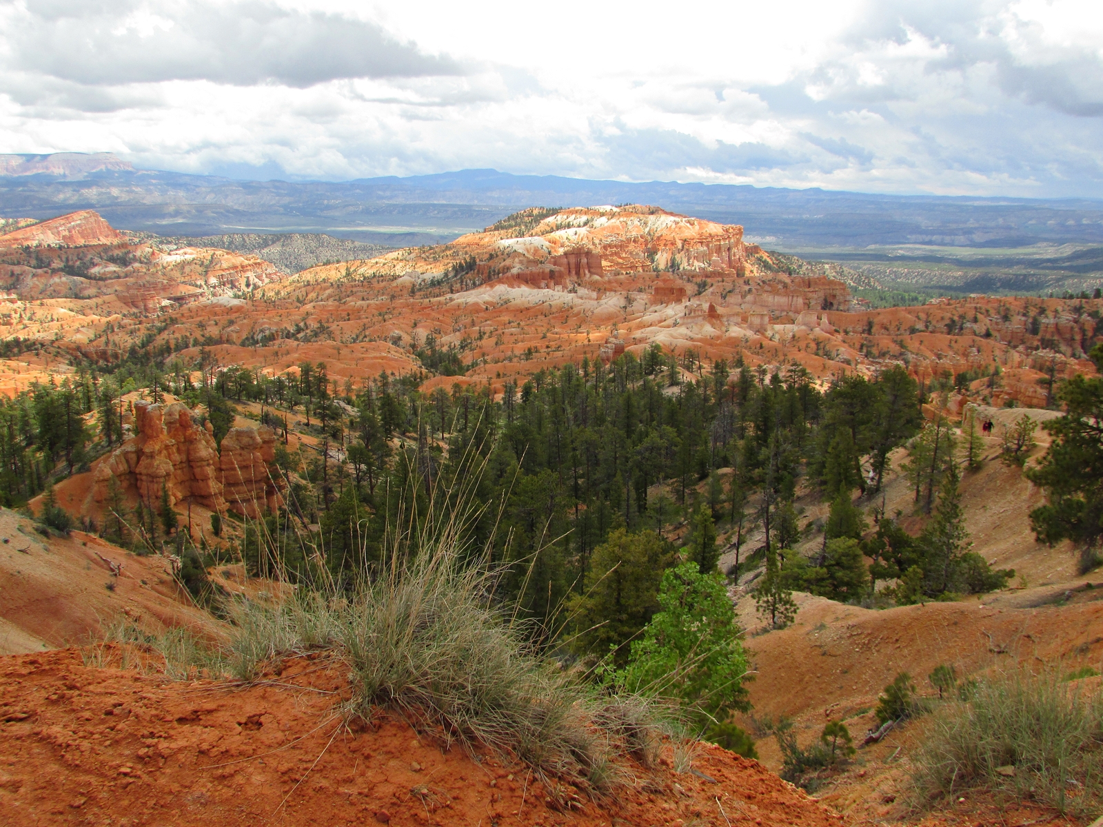 Bryce Canyon National Park - USA Westküsten Rundreise - Amerika Westküste - Utah - Roadtrip - Travel - Weltreise - Fashionladyloves by Tamara Wagner - Travel Blog - Lifestyle Blog aus Österreich 