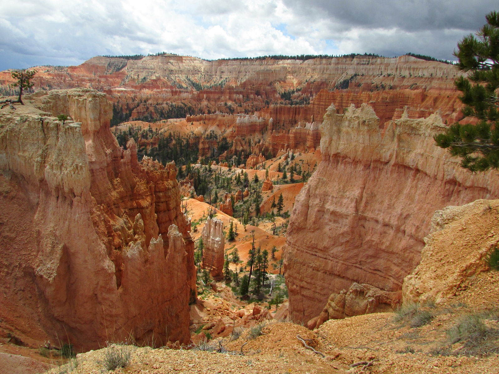 Bryce Canyon National Park - USA Westküsten Rundreise - Amerika Westküste - Utah - Roadtrip - Travel - Weltreise - Fashionladyloves by Tamara Wagner - Travel Blog - Lifestyle Blog aus Österreich 