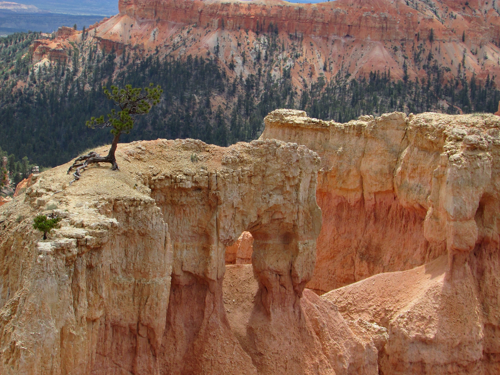 Bryce Canyon National Park - USA Westküsten Rundreise - Amerika Westküste - Utah - Roadtrip - Travel - Weltreise - Fashionladyloves by Tamara Wagner - Travel Blog - Lifestyle Blog aus Österreich 