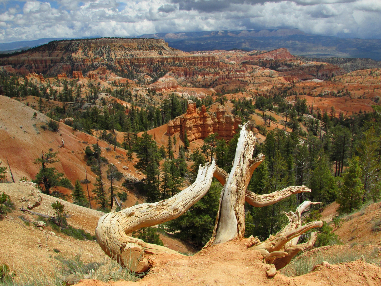 Bryce Canyon National Park - USA Westküsten Rundreise - Amerika Westküste - Utah - Roadtrip - Travel - Weltreise - Fashionladyloves by Tamara Wagner - Travel Blog - Lifestyle Blog aus Österreich 