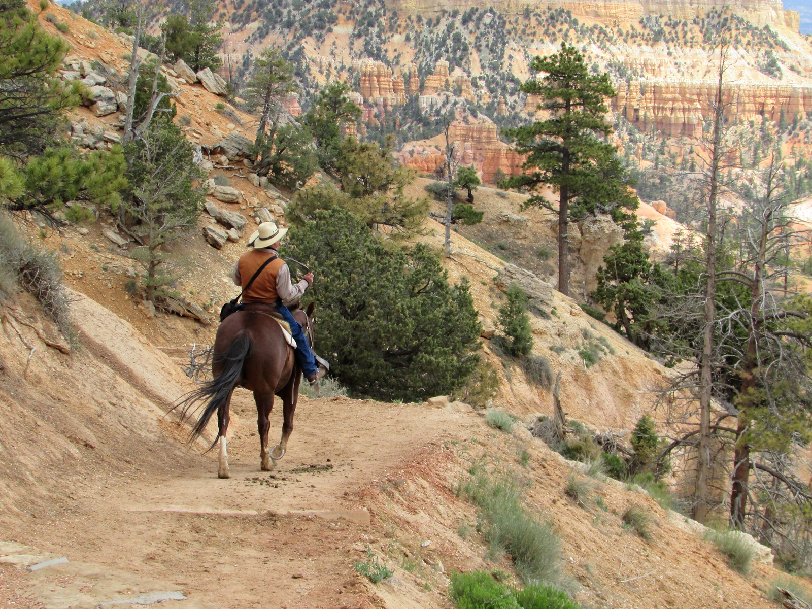 Bryce Canyon National Park - Reiter im Canyon - USA Westküsten Rundreise - Amerika Westküste - Utah - Roadtrip - Travel - Weltreise - Fashionladyloves by Tamara Wagner - Travel Blog - Lifestyle Blog aus Österreich 