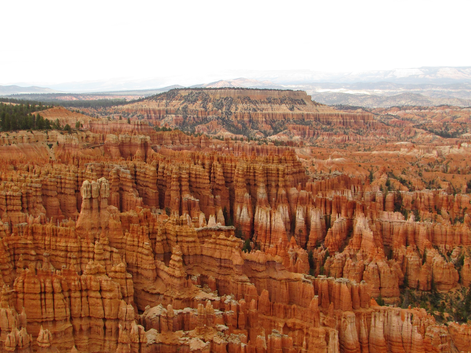 Bryce Canyon National Park - USA Westküsten Rundreise - Amerika Westküste - Utah - Roadtrip - Travel - Weltreise - Fashionladyloves by Tamara Wagner - Travel Blog - Lifestyle Blog aus Österreich 