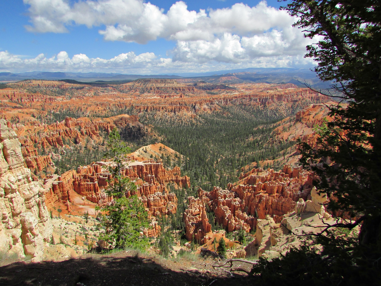 Bryce Canyon National Park - USA Westküsten Rundreise - Amerika Westküste - Utah - Roadtrip - Travel - Weltreise - Fashionladyloves by Tamara Wagner - Travel Blog - Lifestyle Blog aus Österreich 