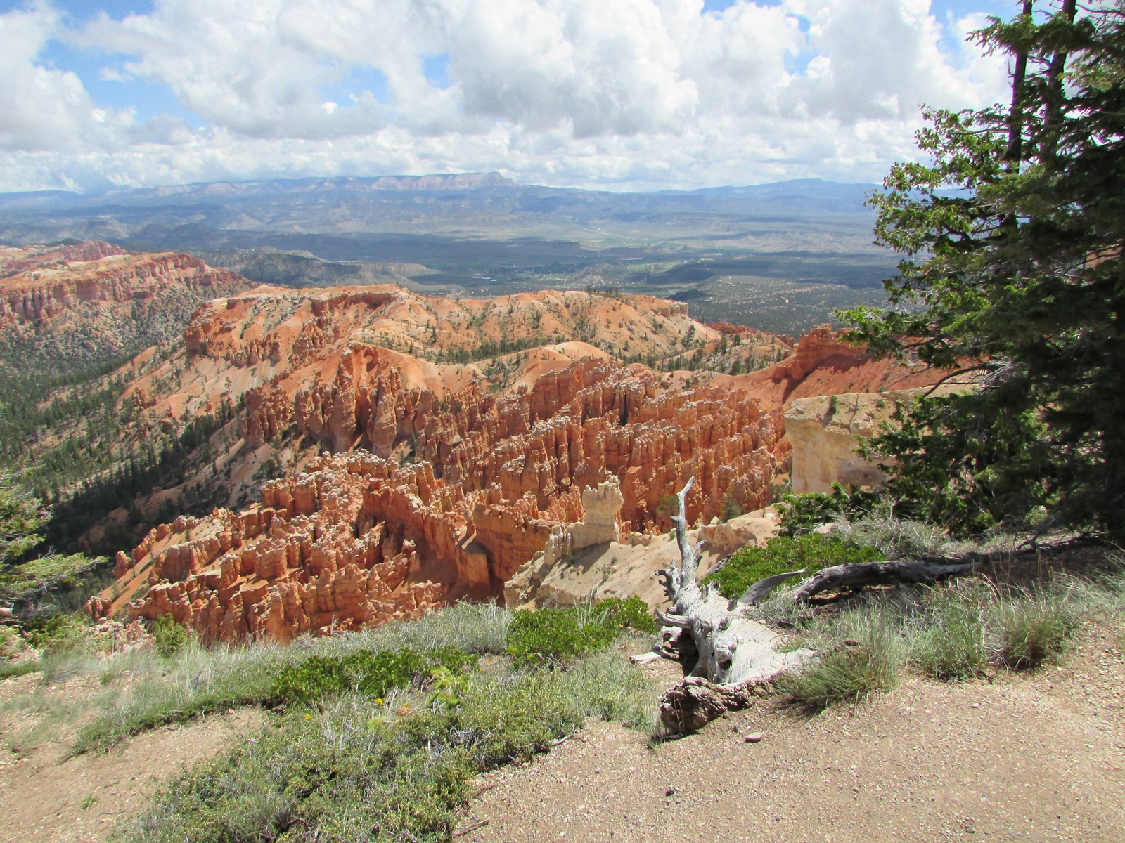 Bryce Canyon National Park - USA Westküsten Rundreise - Amerika Westküste - Utah - Roadtrip - Travel - Weltreise - Fashionladyloves by Tamara Wagner - Travel Blog - Lifestyle Blog aus Österreich 