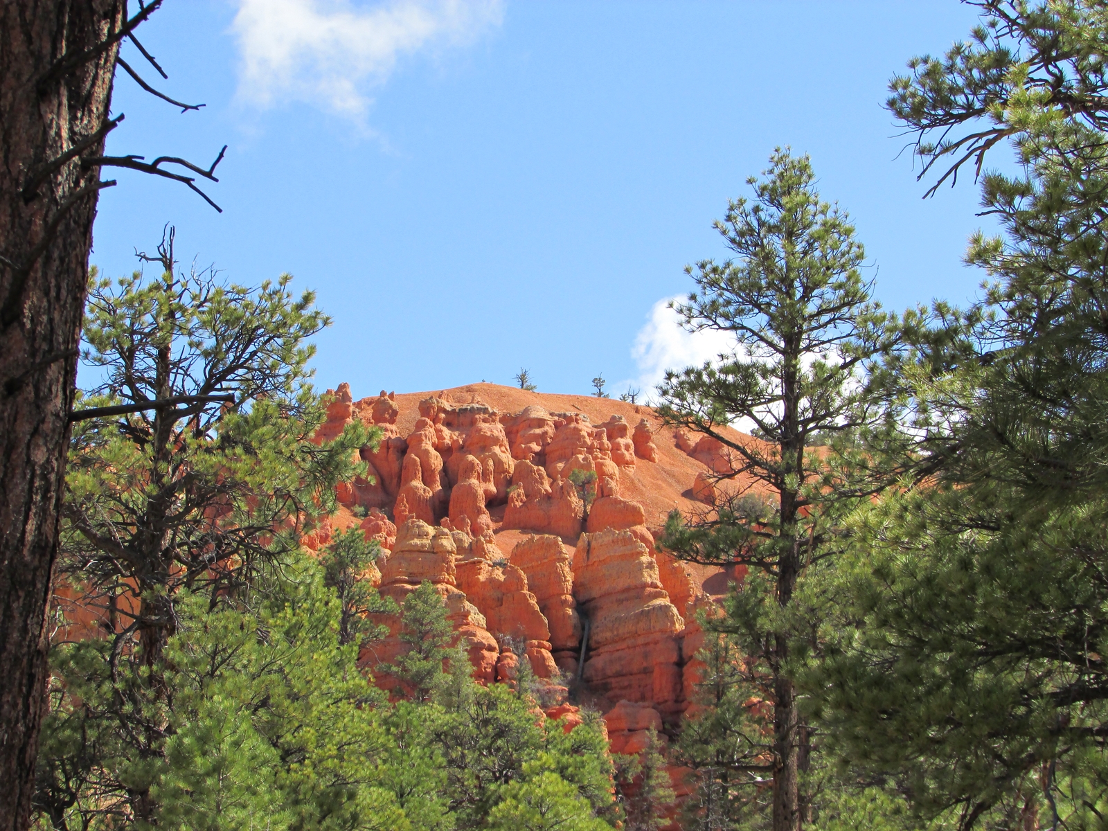 Red Canyon - USA Westküste Roadtrip - Amerika Rundreise - Travel - Reisen - Weltreise - Fashionladyloves by Tamara Wagner - Travel Blog - Lifestyle Blog aus Österreich