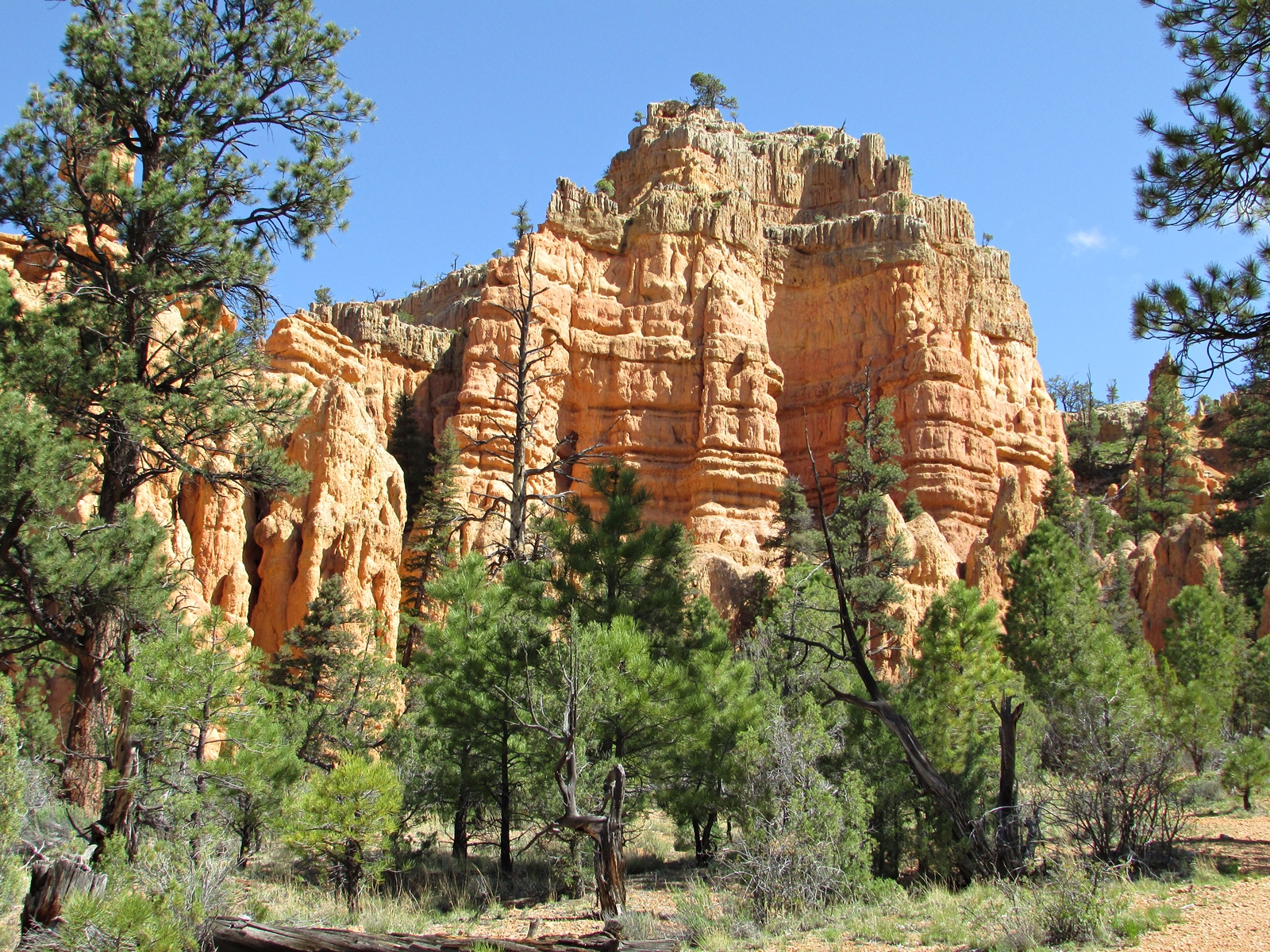 Red Canyon - USA Westküste Roadtrip - Amerika Rundreise - Travel - Reisen - Weltreise - Fashionladyloves by Tamara Wagner - Travel Blog - Lifestyle Blog aus Österreich