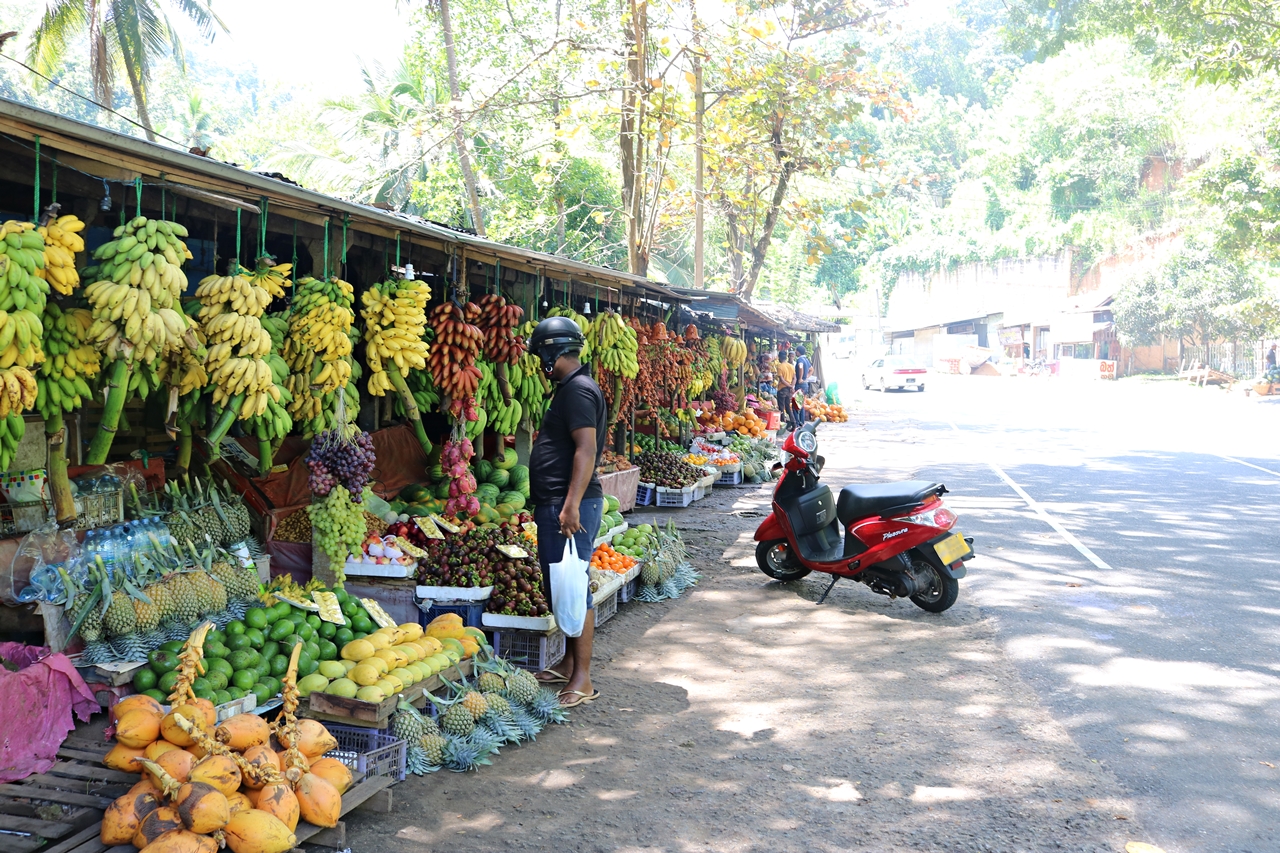 Sri Lanka Travel Guide- Reisebericht - Obststand an der Straße - Fashionladyloves by Tamara Wagner - Travel Blog - Reiseblog aus Graz Österreich