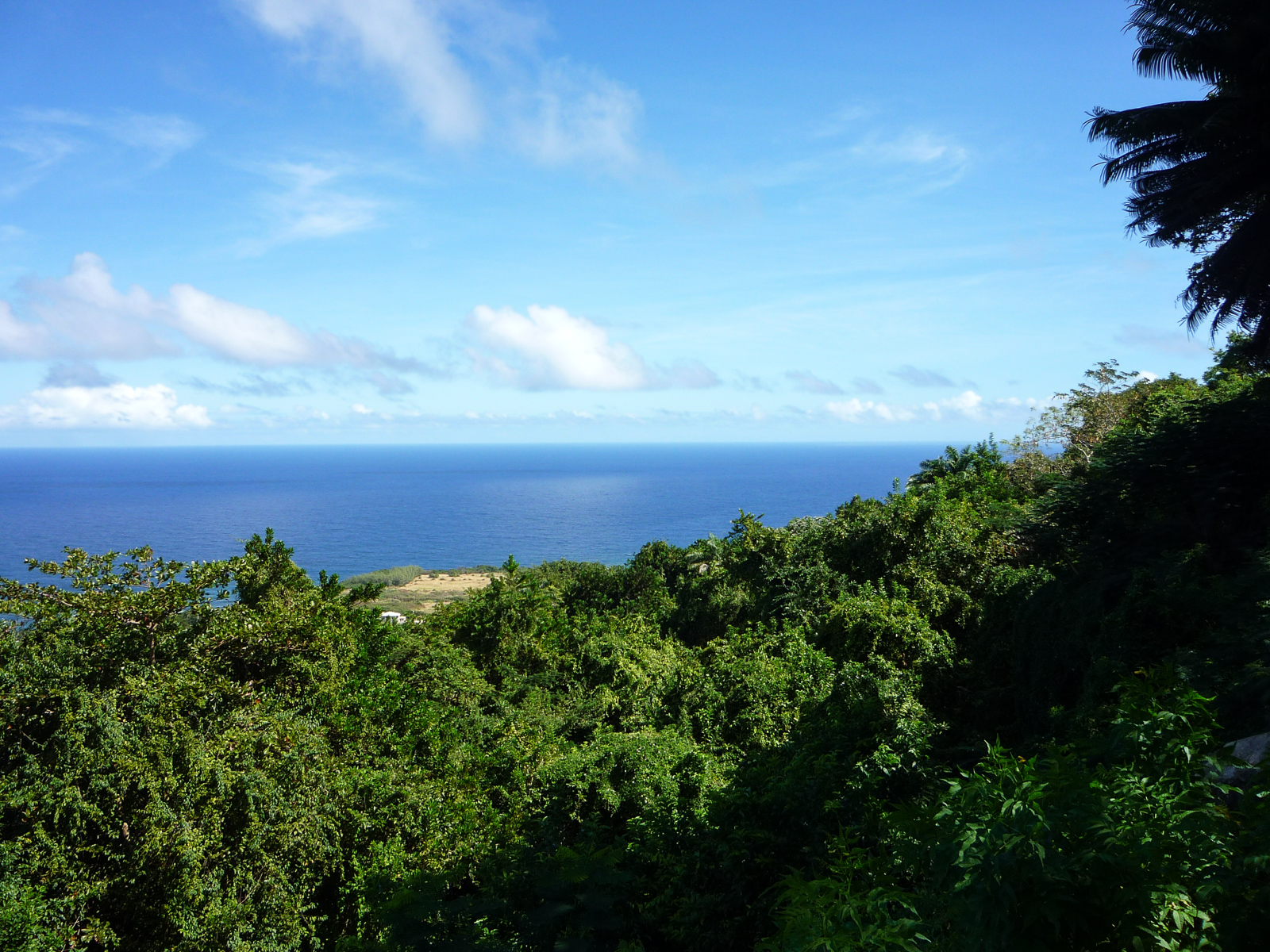 Barbados Travel Guide - Kreuzfahrt in der Karibik - Karibik Urlaub - Insel in der Karibik - kleine Antillen - Urlaub in der Karibik - Karibik Kreuzfahrt mit Mein Schiff - Traumreise - unvergessliche Reise - Tipps und Wissenswertes - Fashionladyloves by Tamara Wagner - Travel Blog - Reiseblogger