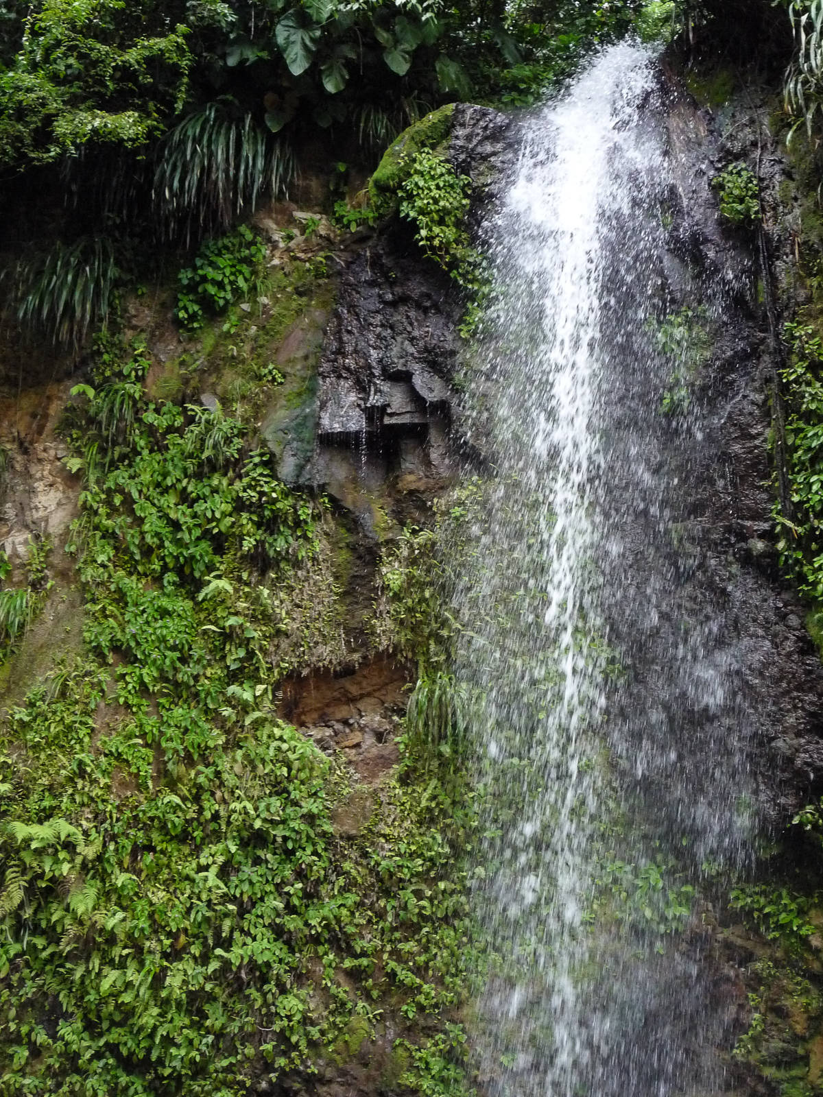 St. Lucia Travel Guide - Reiseziel in der Karibik - Kleine Antillen - Karibik Reise - Reisebericht - Tipps und Wissenswertes für deine Reise - beliebte Sehenswürdigkeiten auf deiner Karibikkreuzfahrt - Karibik Kreuzfahrt Fashionladyloves by Tamara Wagner - Travel Blog - Reiseblog aus Graz Österreich