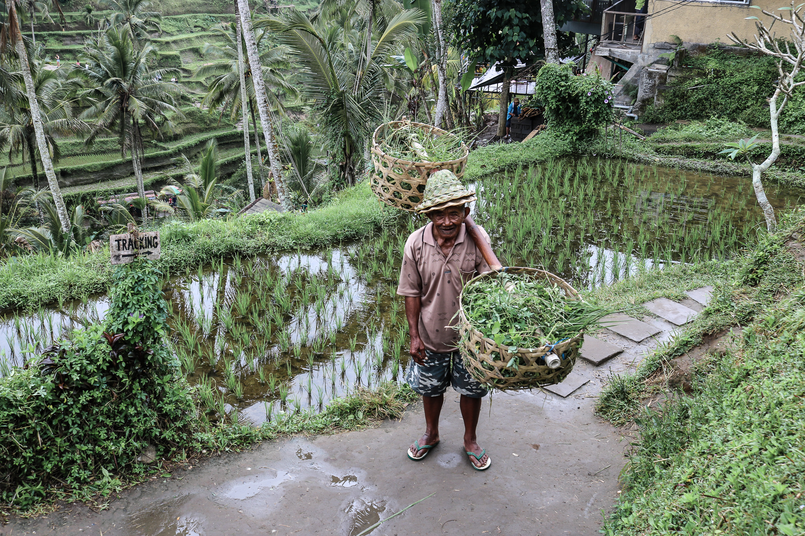 Bali Travel Guide - Reisebericht - Tipps und Wissenswertes für deine Bali Reise - Reiseführer - Indonesien - Bali Reiseführer - Fotos von Bali - Bali Bilder - Bali Sehenswürdigkeiten - Bali Hotspots - Reiseziel Bali - Fashionladyloves by Tamara Wagner - Travel Blog - Reiseblogger 