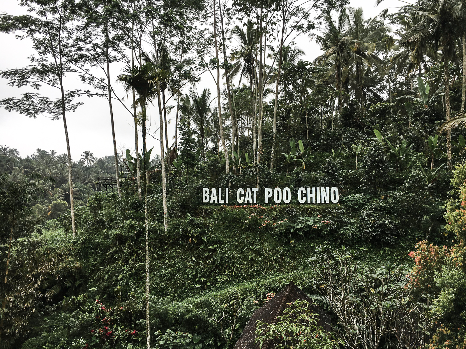 Bali Travel Guide - Reisebericht - Tipps und Wissenswertes für deine Bali Reise - Reiseführer - Indonesien - Bali Reiseführer - Fotos von Bali - Bali Bilder - Bali Sehenswürdigkeiten - Bali Hotspots - Reiseziel Bali - Fashionladyloves by Tamara Wagner - Travel Blog - Reiseblogger 