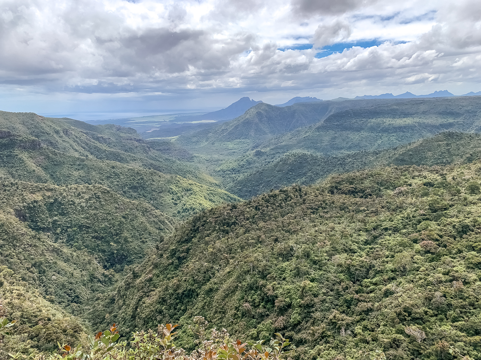 Mauritius Reisebericht - Wissenswertes und Highlights der Trauminsel - Mauritius Reise - Mauritius Sehenswürdigkeiten - Mauritius Flitterwochen - Traumreise - Paradies - schönste Insel - Traumurlaub -Tipps für Mauritius - Mauritus Reiseführer - Mauritius Travel Guide - Black River Gorges Nationalpark - Fashionladyloves by Tamara