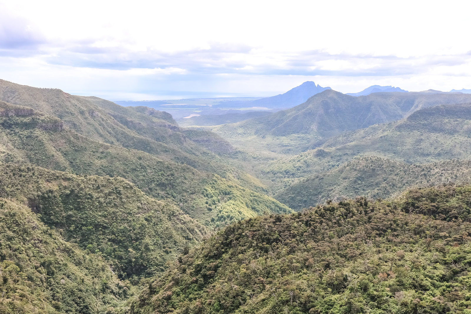 Mauritius Reisebericht - Wissenswertes und Highlights der Trauminsel - Mauritius Reise - Mauritius Sehenswürdigkeiten - Mauritius Flitterwochen - Traumreise - Paradies - schönste Insel - Traumurlaub -Tipps für Mauritius - Mauritus Reiseführer - Mauritius Travel Guide - Black River Gorges Nationalpark - Fashionladyloves by Tamara