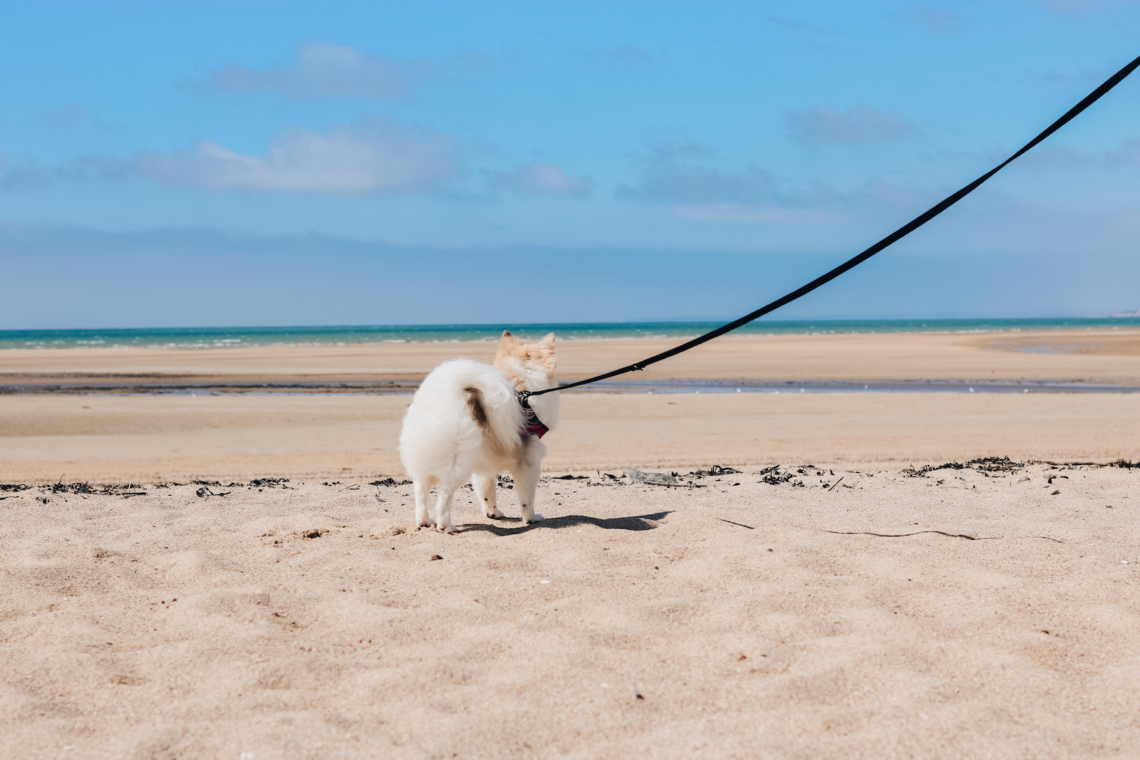 Mit dem Van durch Frankreich - Normandie und Bretagne - Roadtrip durch Frankreich - Campen in Frankreich - Campertrip Europa - Vanille in Europa - Reisen mit Hund - Reiseroute durch Frankreich mit dem Wohnmobil - Fashionladyloves by Tamara Wagner