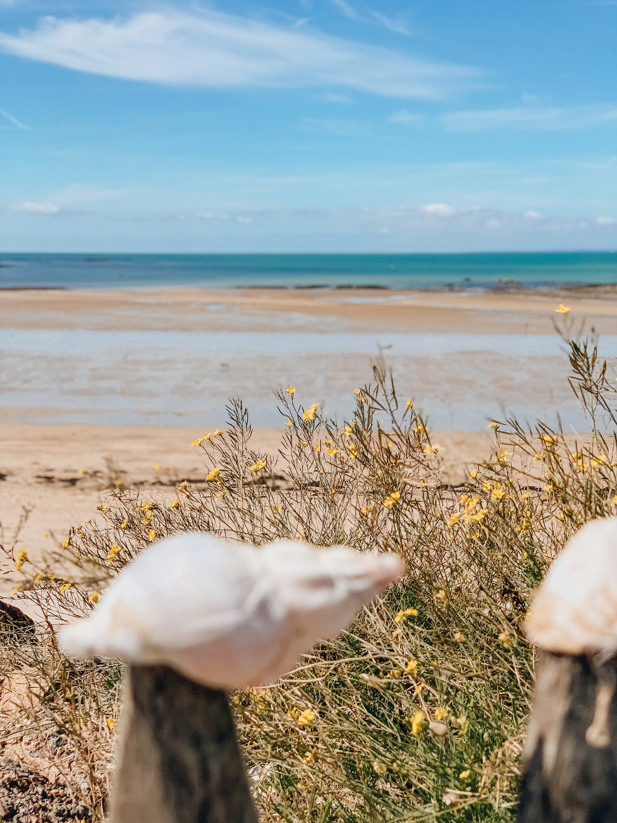 Mit dem Van durch Frankreich - Normandie und Bretagne - Roadtrip durch Frankreich - Campen in Frankreich - Campertrip Europa - Vanille in Europa - Reisen mit Hund - Reiseroute durch Frankreich mit dem Wohnmobil - Fashionladyloves by Tamara Wagner
