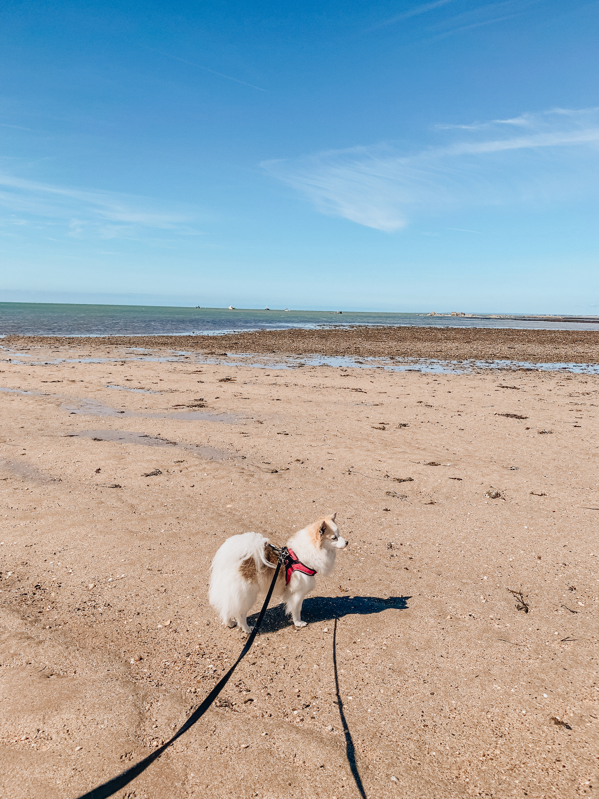 Mit dem Van durch Frankreich - Normandie und Bretagne - Roadtrip durch Frankreich - Campen in Frankreich - Campertrip Europa - Vanille in Europa - Reisen mit Hund - Reiseroute durch Frankreich mit dem Wohnmobil - Fashionladyloves by Tamara Wagner