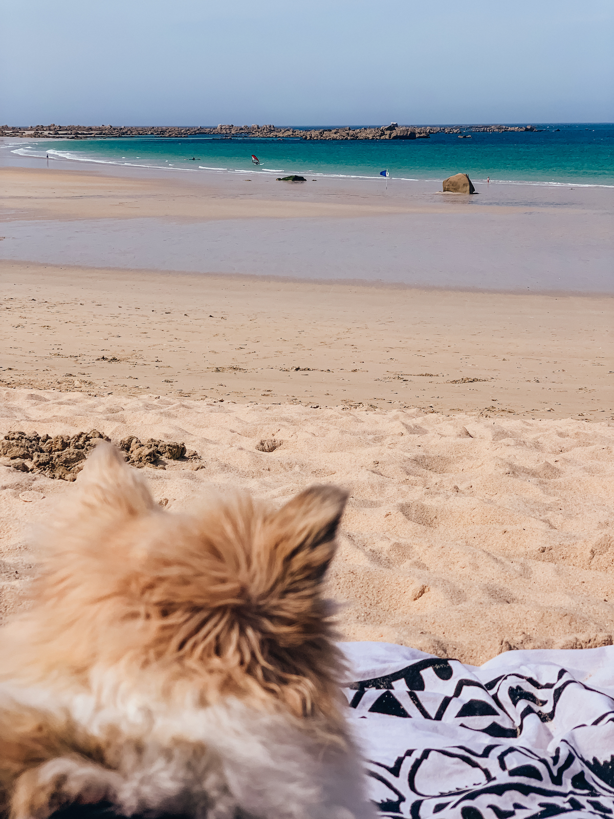 Mit dem Van durch Frankreich - Normandie und Bretagne - Roadtrip durch Frankreich - Campen in Frankreich - Campertrip Europa - Vanille in Europa - Reisen mit Hund - Reiseroute durch Frankreich mit dem Wohnmobil - Fashionladyloves by Tamara Wagner